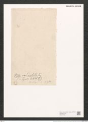 Nitzschia palea var. debilis (Kuetz.) Grun. (de-Toni-Nr.: Genus 47, Species 2127) Zeichnungen Sammlung Grunow (NHMW-BOT-W0372249)